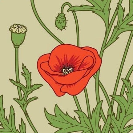 Designs by Irma Scheer