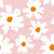 Pink orange white daisy Image