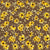 Boho Black-eyed Susans on Coffee Bean Image