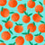 Clementines on Aqua Image