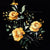 Large Yellow Roses on Black, Nature fabric, Garden lover, Bold Floral Collection Image
