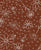 Cocoa Brown Daisy Outlines, Feeling Daisy & Free by Patternmint Image
