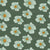 Light Blue Wildflower with Tiger Stripes centers on a deep green background Image