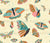 Folk Art Butterflies Collection: Folk Art Butterflies on Cream Image