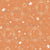 Champagne Celebration (Orange) Image
