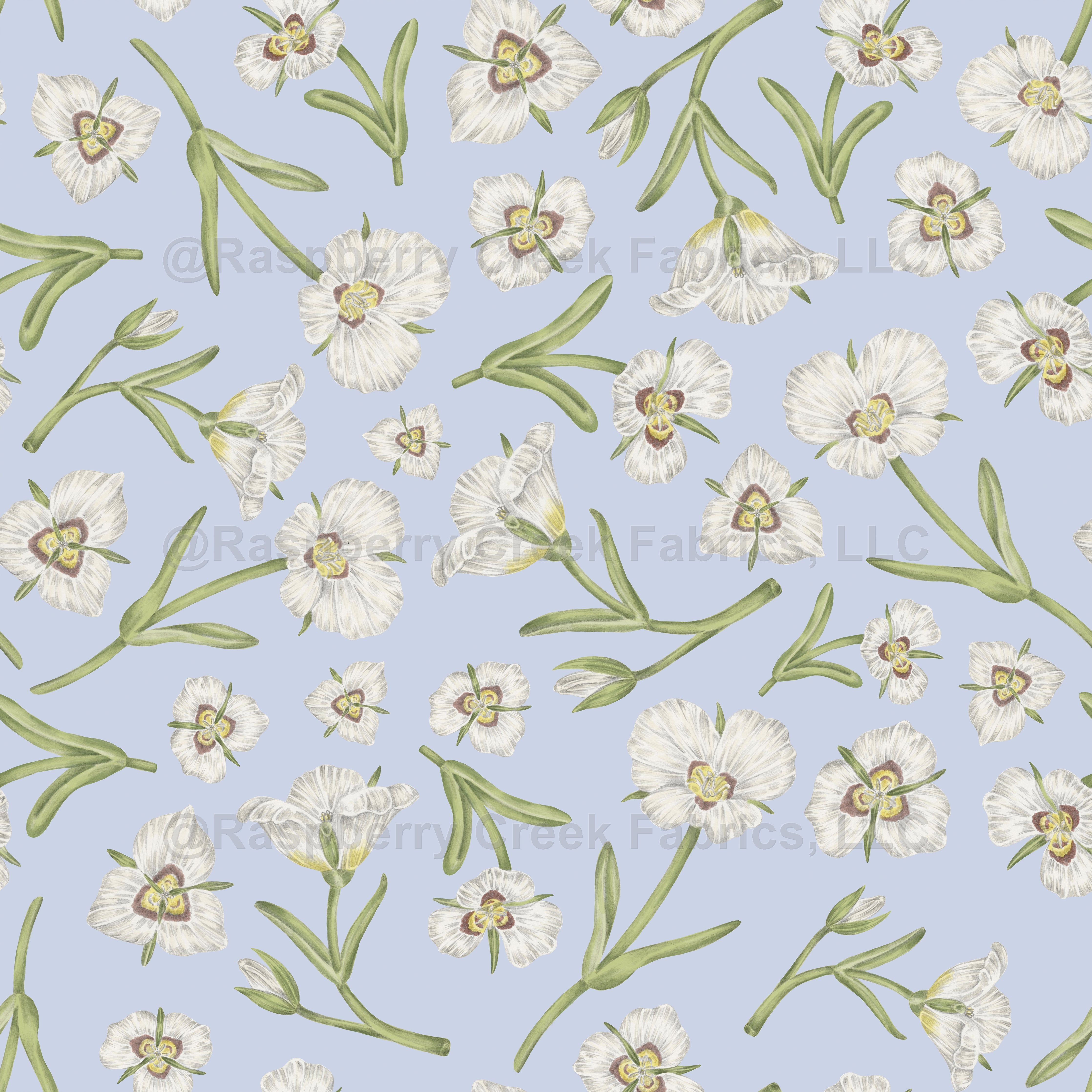sego lily utah state flower Sego Lily Flower, Utah State Flower, Blue Grey Background, White Flowers, US State Flowers Fabric, Raspberry Creek Fabrics