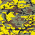 Yellow and Brown Camouflage, Military, Army Image