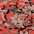 Red and Brown Camouflage, Military, Army Image