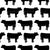 Herd That Black Cows Image