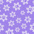 Paw Print Snowstorm on Purple Image