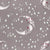Celestial Crescent Moon and Wildflower Stars on Clay Rose Night Sky Image