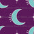 Space Girl - Crescent Moons & Stars on Purple Image