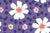 Charmed Halloween - Retro Pop Daisies on Purple - Cute Geometric Flowers for Halloween Image