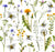 Wildflowers by MirabellePrint / White Image