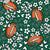 Footballs and Cheer Bows in Green Image