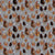 What the cluck, chickens on grey Image