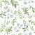 Watercolor Eucalyptus botanicals Image
