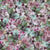 Coral Bells Foliage Variegated Image