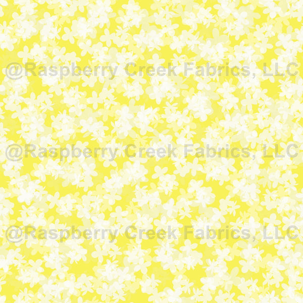 White Hydrangea Flowers on Lemon Sherbet Yellow / Summer Sherbet Colle ...