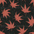 Japanese maple leaves with dots - black and magenta Image