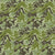 camouflage 5 cryptic coloration Image