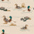 Wildlife Duck Pond on Cream Image