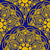 Navy and Gold Night Blooming Buttercup Dot Mandala Scallop Image