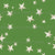 Festive winter stars  fir green Image