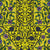 Ornate Mughal Floral Scroll in Chartreuse, Navy and Violet, Bazaar Blooms by Christabelco Image