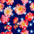 Red White Roses and Stars on Midnight Blue Image