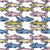 School of Mediterranean Sardines in White Image