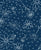 Navy Blue Daisy Outlines, Feeling Daisy & Free Collection by Patternmint Image