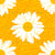 Daisy with texture in orange. Image