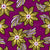 African clematis flower pattern - yellow and purple wax african inspired floral Image