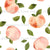 Summer Peaches On White Image
