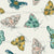 Colorful Moths on Cream Image