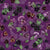 Moody Violas Floral Purple Clematis Image