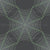 Spiderweb Grid in Grey with Neon Green Image