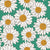 White Daisies on Green Image