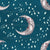 Celestial Crescent Moon and Wildflower Stars on Deep Teal Night Sky Image