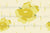 Blooms in Rain Yellow Daffodil Petals on Cream with Golden Rain Drops Image