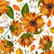 Autumn Sunflowers on White Image