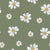 Green and White Cosmos Image