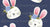 Hoppy Easter Honey Bunnies Navy Image