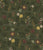 Herbarium Leaves Flowers and Plants on Dark Green Image
