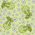 Coquette Pears Bows and Daisy Flowers Green Image