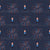 Fireworks Over Summer Skies Image