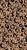 Jaguar Jungle Spots Light Tan Image