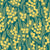 Soft yellow mimosas green leaves on teal Image