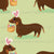 Easterweenie Wiener dog with easter basket on a spring green background - easter egg sausage dog Image